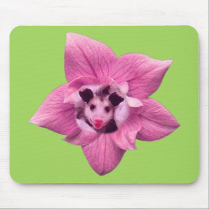 Tapis De Souris Bébé Opossum Sarigue