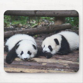 Tapis de souris Bébés pandas mignons