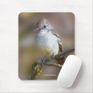 Tapis De Souris Bécasseau à bec mou à gorge cendrée sur branche