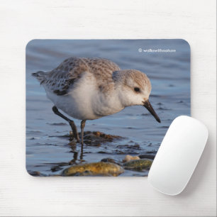Tapis De Souris Bécasseau de Sanderling à flâner sur une plage d'h