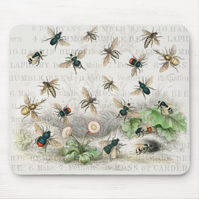 Tapis De Souris Bees Honey Worker Queen Nature Antique Bee (Devant)
