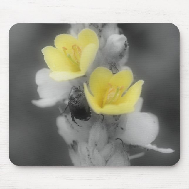 Tapis De Souris Beetle sur Mullein Fleur Noir Blanc Mousepad (Devant)