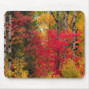 Tapis De Souris Bel Automne au Canada.
