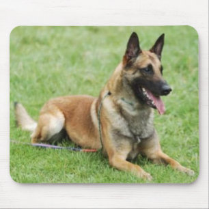 Tapis De Souris Belge Malinois Mousepad