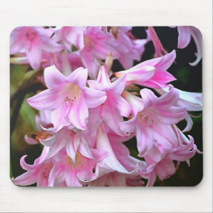 Tapis De Souris Belle Belladonna Amaryllis Rose