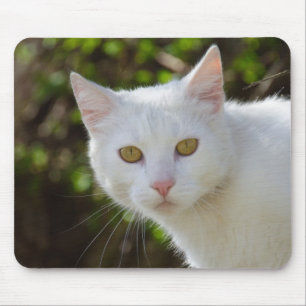 Tapis De Souris Belle Chat Blanc