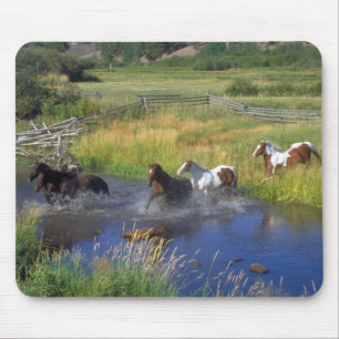 Tapis De Souris Belle Horse Ranch Destiny Nature