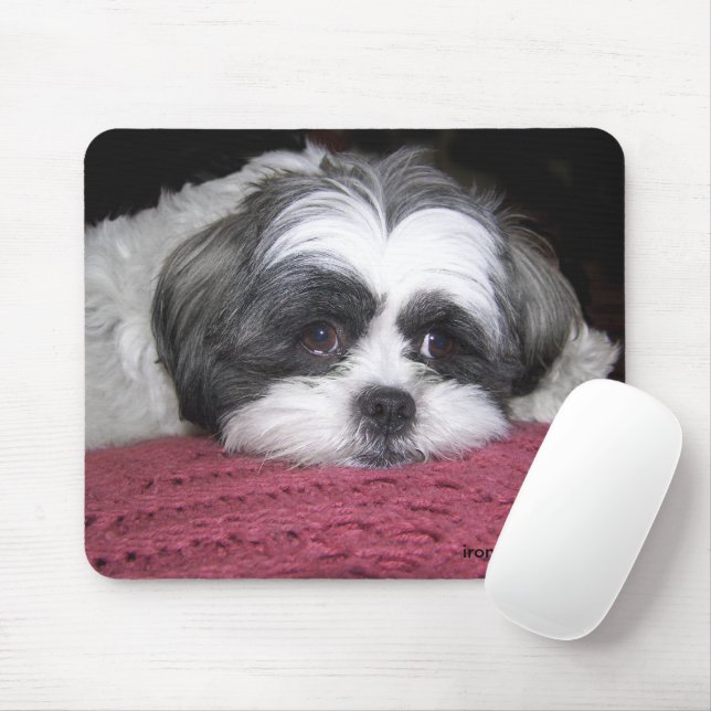 Tapis De Souris Belle Le Shih Tzu (Avec souris)
