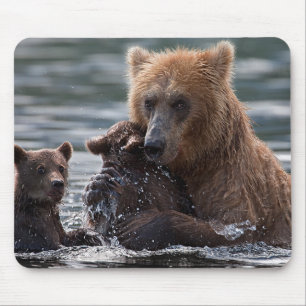 Tapis De Souris Belle Ours et ses petits