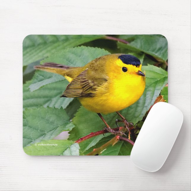 Tapis De Souris Belle Paruline Wilson dans Cherry Tree (Avec souris)