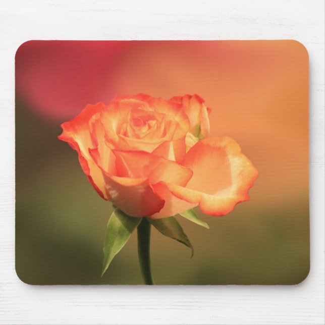 Tapis De Souris Belle photo de Rose romantique (Devant)