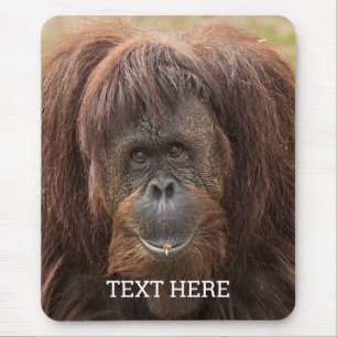Tapis De Souris Belle photographie de Borneo Orangutan