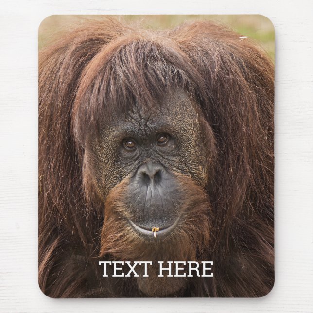 Tapis De Souris Belle photographie de Borneo Orangutan (Devant)