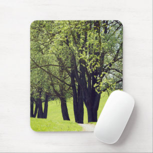 Tapis De Souris Belle prairie