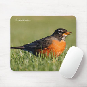 Tapis De Souris Belle Robin Américain en Herbe d'hiver