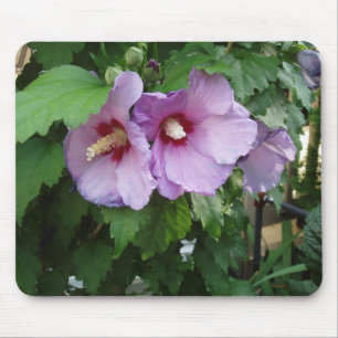 Tapis De Souris Belle souris à fleurs