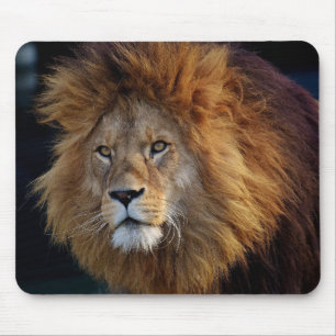 Tapis De Souris Belle souris Lion