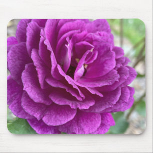 Tapis De Souris Belle Souris Rose Lilac