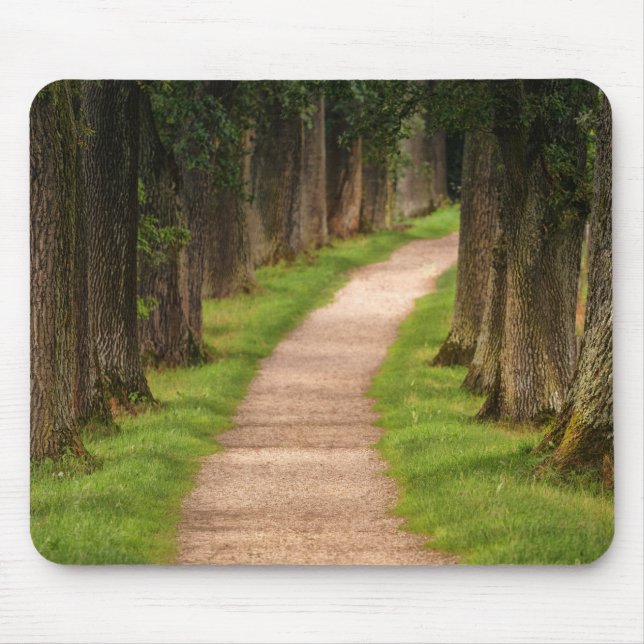 Tapis De Souris Belle voie à travers les arbres (Devant)