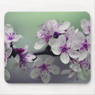 Tapis De Souris Belles fleurs de cerisier