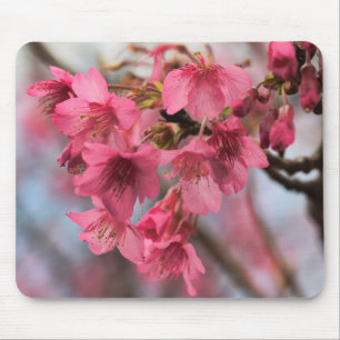 Tapis De Souris Belles fleurs de cerisier