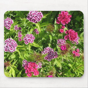 Tapis De Souris belles fleurs de couleur, oeillet