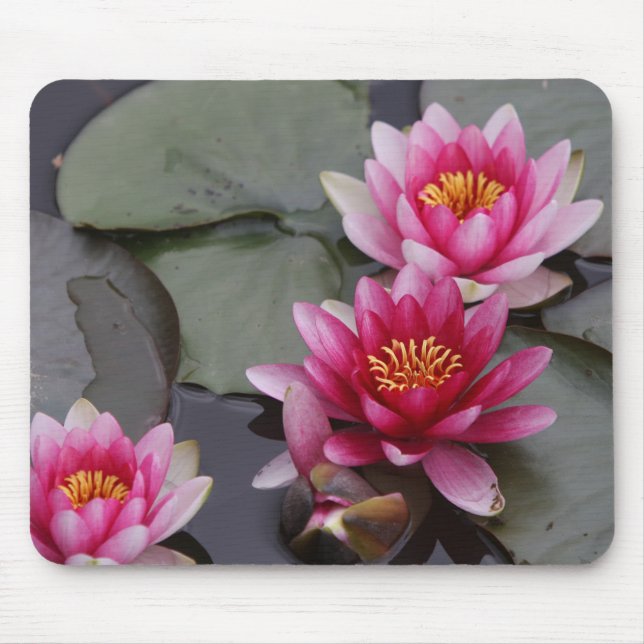 Tapis De Souris Belles fleurs de lac sur la protection de mause (Devant)