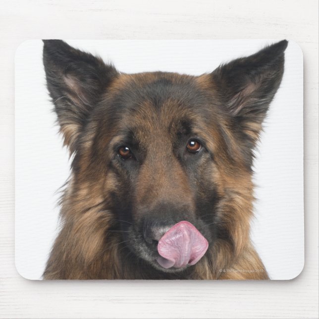 Tapis De Souris Berger allemand (Devant)