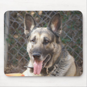 Tapis de souris Berger Allemand