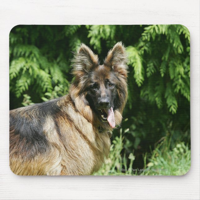 Tapis De Souris Berger allemand aux cheveux longs Brown 1 (Devant)