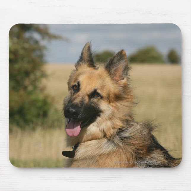 Tapis De Souris Berger allemand collant la langue (Devant)