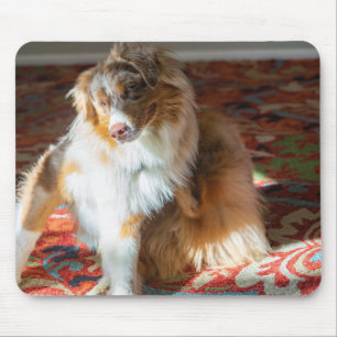 Tapis De Souris Berger australien de Merle rouge