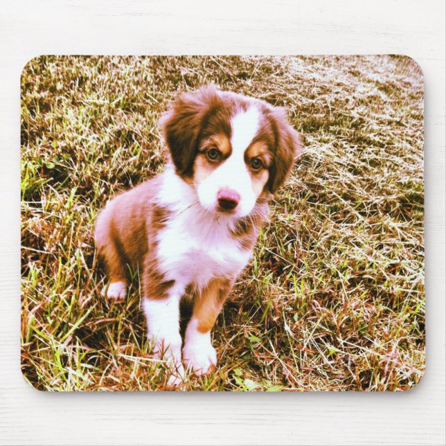 Tapis De Souris Berger australien miniature ! Mini chiot (Devant)