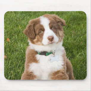 Tapis De Souris Berger australien Mousepad
