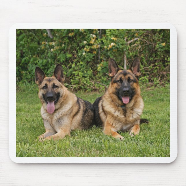 Tapis De Souris Bergers allemands (Devant)