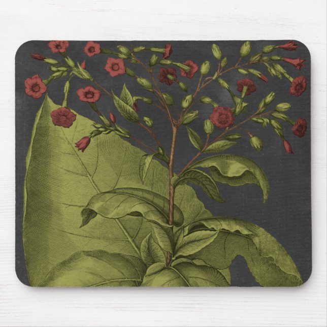 Tapis De Souris Besler Dramatique I (Devant)