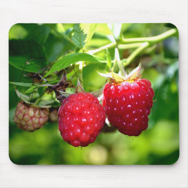 Tapis De Souris Beurre mûre photo Framboises framboises (Devant)