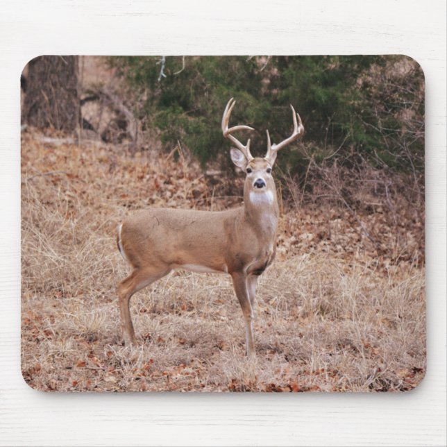 Tapis De Souris Big and Beautiful Buck Deer Antlers in Winter (Devant)