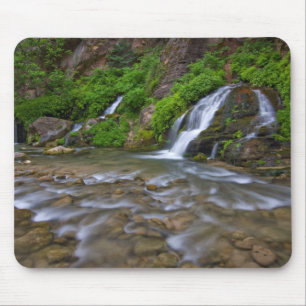 Tapis De Souris Big Springs Virgin River   Parc national de Zion