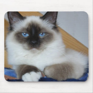 Tapis De Souris birman 2.png