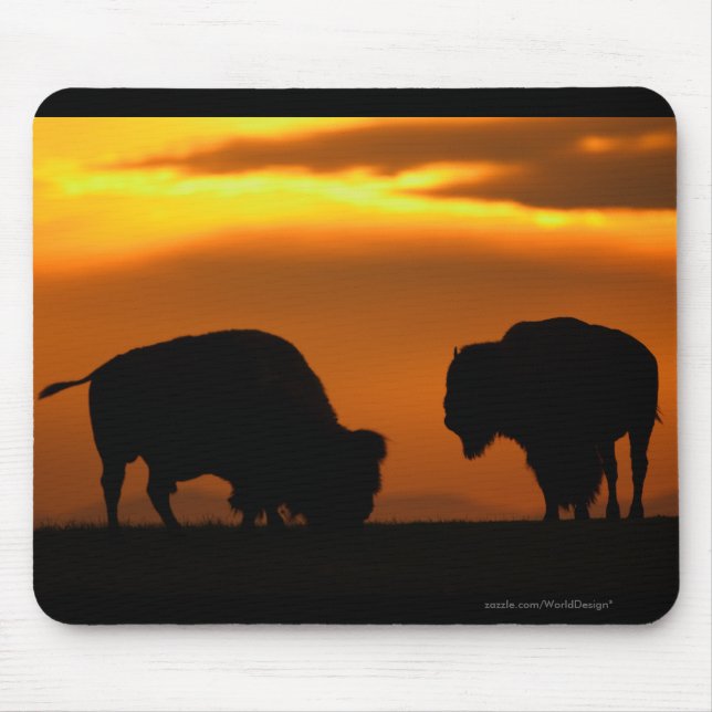 Tapis De Souris Bison (Devant)