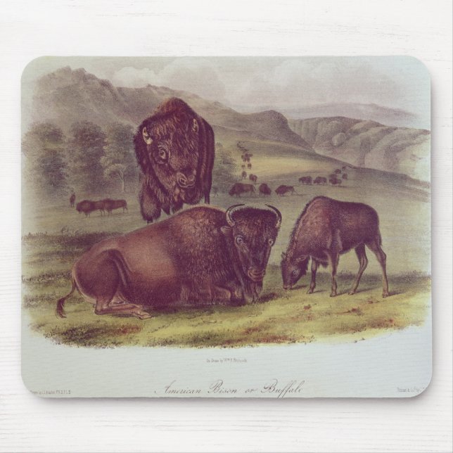 Tapis De Souris Bison américain ou Buffalo (Devant)