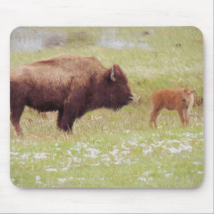 Tapis De Souris Bison et veau à Yellowstone