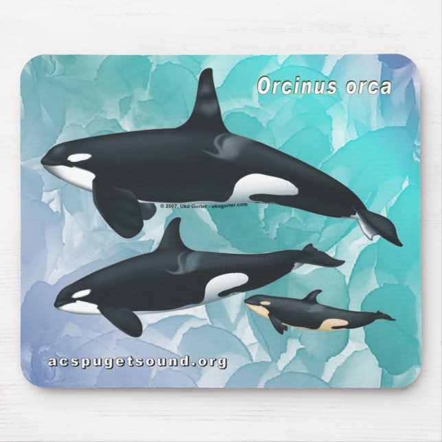 Tapis De Souris Bkg bleu d'aquarelle de Mousepad de famille (Devant)