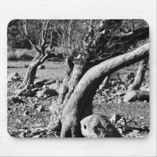 TAPIS DE SOURIS BLACK AND WHITE TREES   