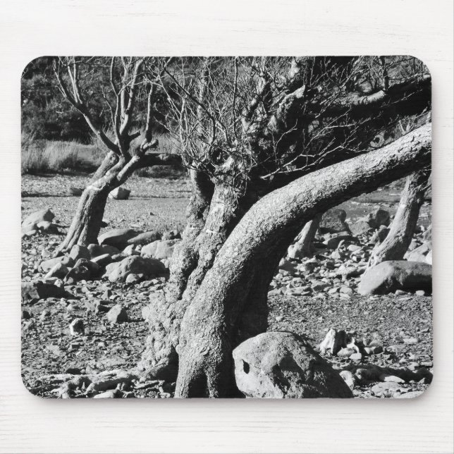 TAPIS DE SOURIS BLACK AND WHITE TREES    (Devant)
