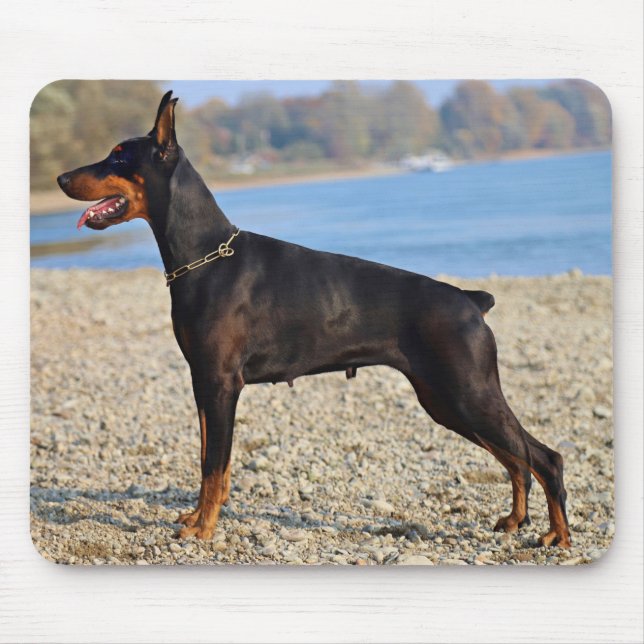 Tapis De Souris Black et Tan Doberman Pinscher sur le rivage (Devant)