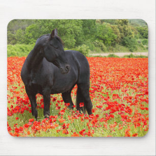 Tapis de souris Black Stallion et Pavots