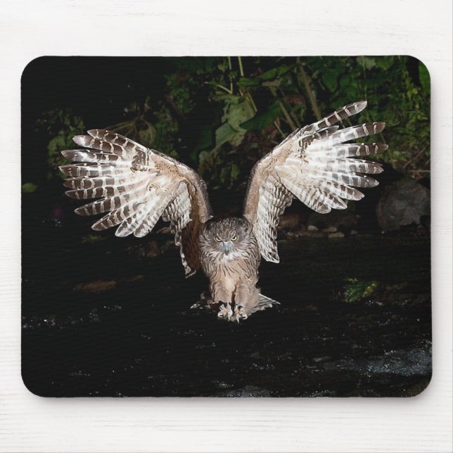 Tapis De Souris Blakiston's fish owl (Devant)