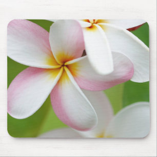 Tapis De Souris Blanc customisé par fleur d'Hawaï de Frangipani 